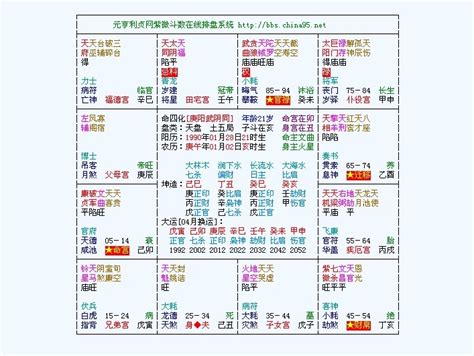 紫微|灵匣网的紫微斗数在线排盘系统